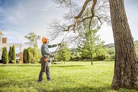 How Our Tree Care Process Works  in  Magnolia, MS